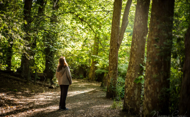 Patient in forest